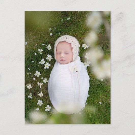 ミニマルシンプルリストポートレート写真ベビー発表 ポストカード (正面)