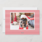 ミニマルストライプピンのクリスマス写真年 シーズンカード (裏面)