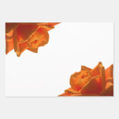 ミニマルフローラ花写真白オレンジ ラッピングペーパーシート (正面3)