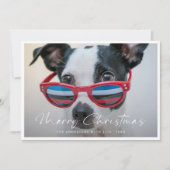 ミニマルモダンおもしろい犬ファミリー写真クリスマス シーズンカード (正面)