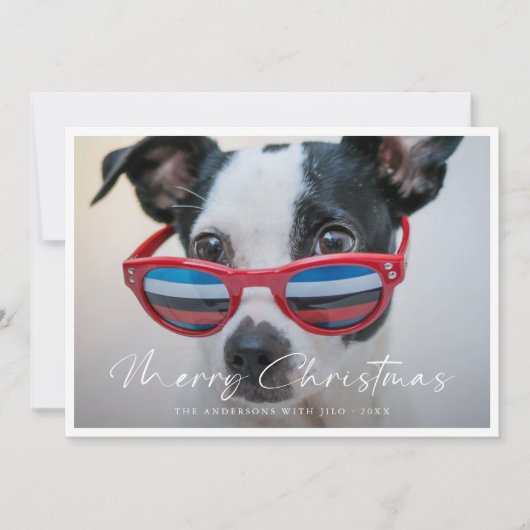 ミニマルモダンおもしろい犬ファミリー写真クリスマス シーズンカード (正面)