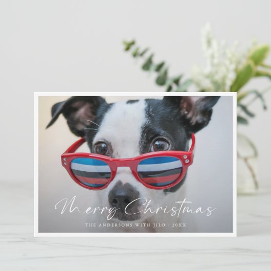 ミニマルモダンおもしろい犬ファミリー写真クリスマス シーズンカード (スタンド正面)