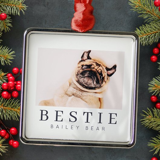 ミニマルモダンリストシックなペットのベスティーBFF写真 メタルオーナメント