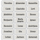 ミニマルヴィンテージスタイル複数の名前のシール シール (正面)