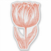 ミニマルヴィンテージフラワーラインアートスケッチオレンジ シール (正面)