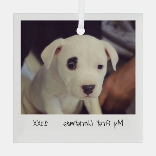 ミニマル写真ペット初めてのクリスマス ガラスオーナメント (裏面)