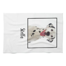 ミニマル白カスタム犬の写真