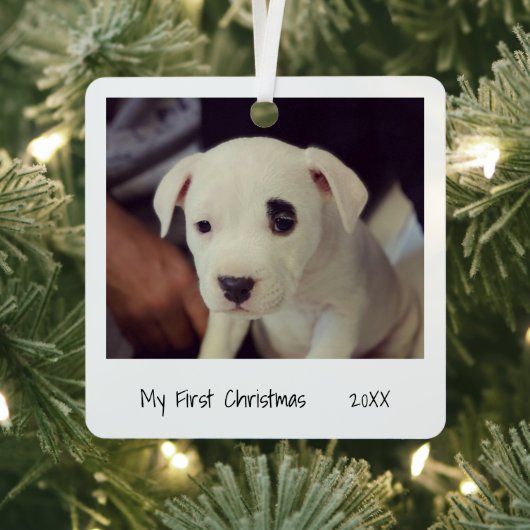 ミニマル白黒初めてのクリスマスペットフォト メタルオーナメント (インサイチュ)