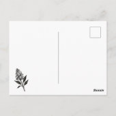 ミニマル薄紫 – インク開花植物学デザインオン ポストカード (裏面)