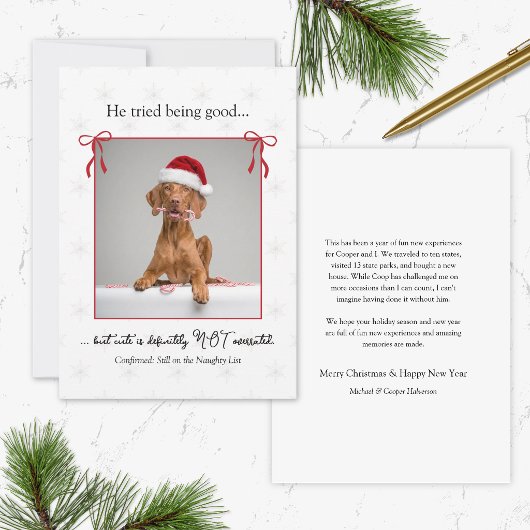 ミニマル かわいい おもしろい いやらしい犬 クリスマスカード