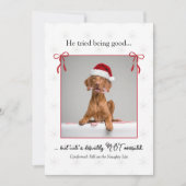 ミニマル かわいい おもしろい いやらしい犬 クリスマスカード (正面)