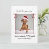 ミニマル かわいい おもしろい いやらしい犬 クリスマスカード (スタンド正面)