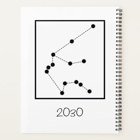 ミニマルAquarius〔占星術の〕十二宮図標識誕生花名 プランナー手帳 (裏面)