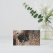 ミニマーレアイ 名刺 (スタンド正面)