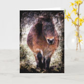 ミニマーレグランジ カード (黄色い花)