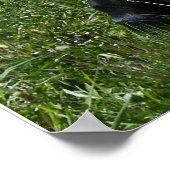 ミニモー ポスター (角)