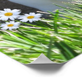 ミニレックスとデイジー ポスター (角)