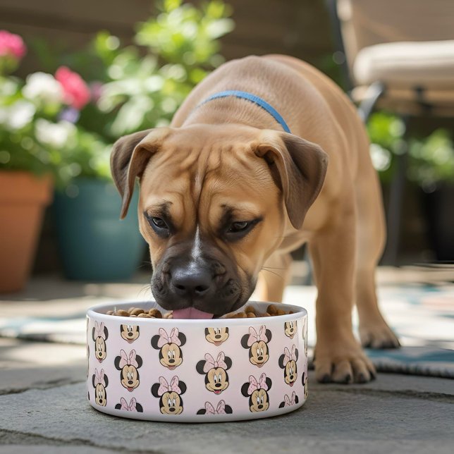 ミニーボウル ボウル (クリエイターアップロード済み)