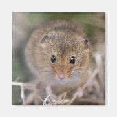 ミニー磁石 マグネット (正面)