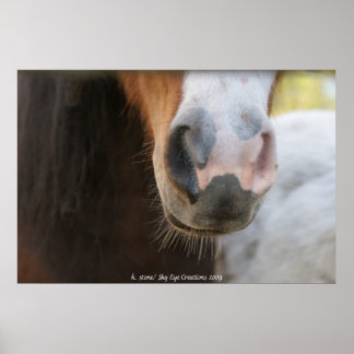 ミニ鼻 ポスター