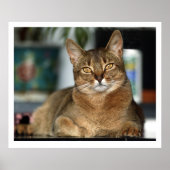 ミヌ – ミヌ ポスター (正面)