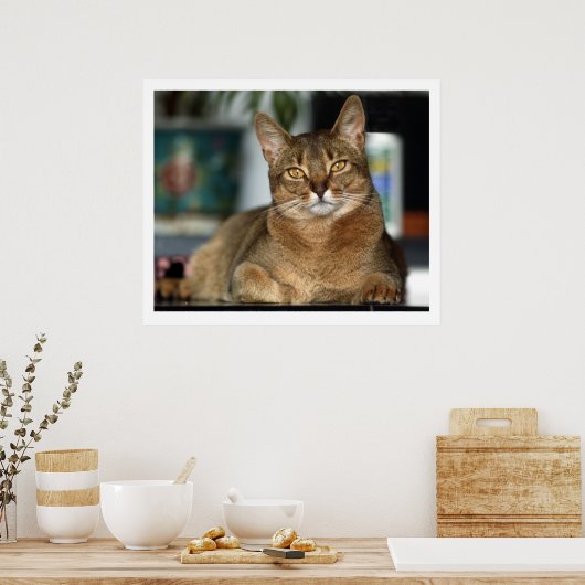 ミヌ – ミヌ ポスター (キッチン)