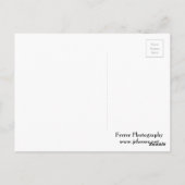 ミネアポリススカイラインとブリッジ ポストカード (裏面)