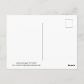 ミネアポリスMNスカイラインポストカード ポストカード (裏面)