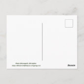 ミネアポリスMNスカイラインポストカード ポストカード (裏面)