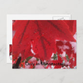 ミネソタからの挨拶 ポストカード (正面/裏面)