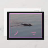 ミネソタのマスカラ ポストカード (正面/裏面)