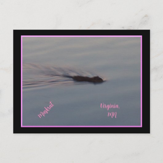 ミネソタのマスカラ ポストカード (正面)