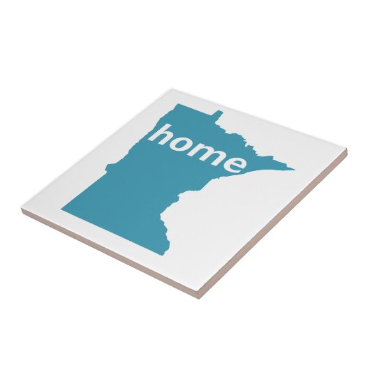 ミネソタの家 タイル (側面)