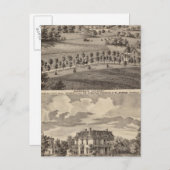 ミネソタの景色をDead River Valley ポストカード (正面/裏面)