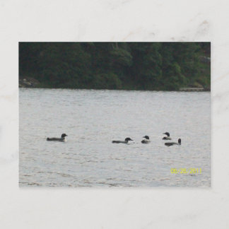 ミネソタの葉書 ポストカード