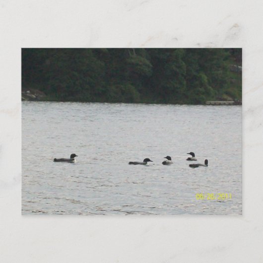 ミネソタの葉書 ポストカード (正面)