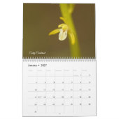 ミネソタの蘭のカレンダー カレンダー (1月 2027)