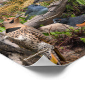 ミネソタの裏庭の鳥のポスター ポスター (角)