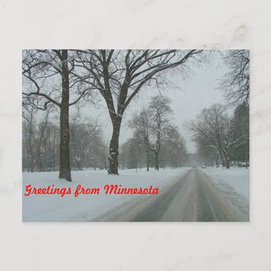 ミネソタよりご挨拶 ポストカード (正面)