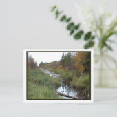 ミネソタクリーク/秋はがき ポストカード (スタンド正面)