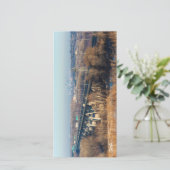 ミネソタ川の谷にまたがるメンドタ橋 (スタンド正面)