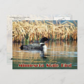 ミネソタ州バードコモンロン ポストカード (正面/裏面)