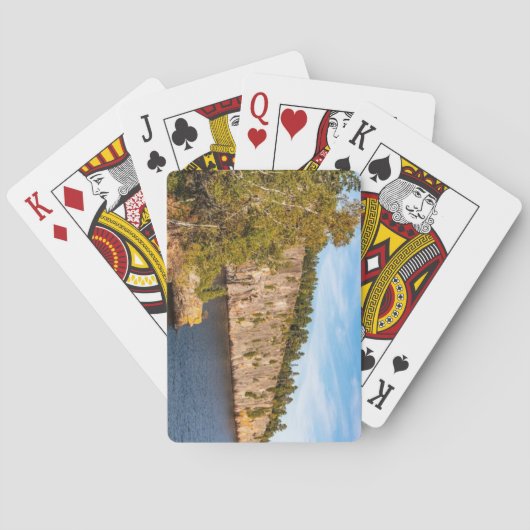 ミネソタ州パーク トランプ (裏面)