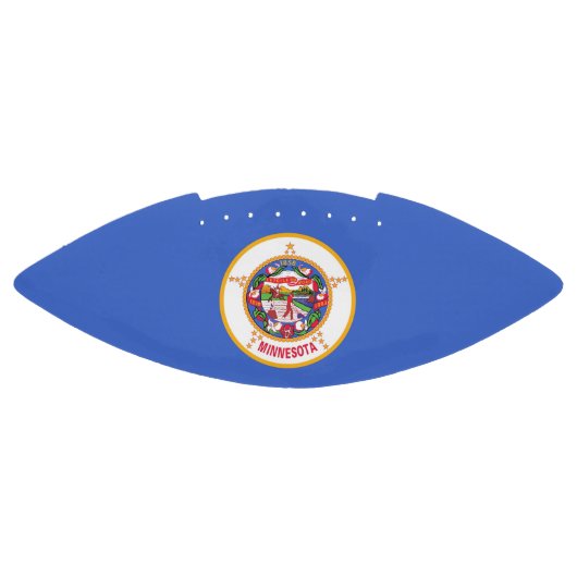ミネソタ州旗を持つ愛国的なアメリカンフットボール アメリカンフットボール (パネル)
