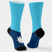 ミネソタ州旗ソックス ソックス (傾斜あり)