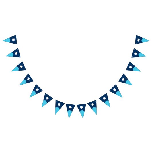 ミネソタ州旗ペナントバンティング バンティングフラッグ (全)