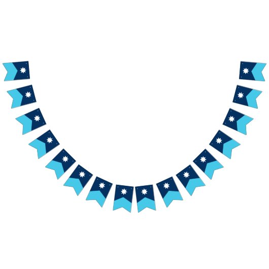 ミネソタ州旗ペナントバンティング バンティングフラッグ (全)