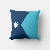 ミネソタ州旗 クッション (正面)