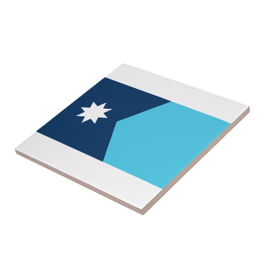 ミネソタ州旗 タイル (側面)