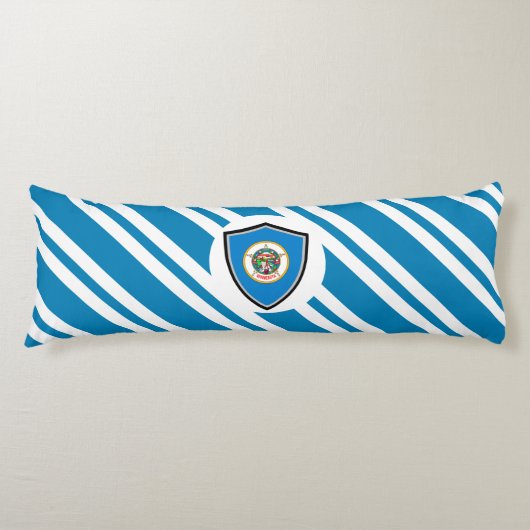 ミネソタ州旗 ボディピロー (正面)